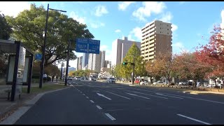 平和大通りの　流川通り南口交差点　　（広島市中区　2021年11月）