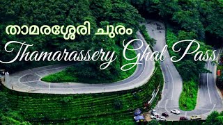 Thamarassery Ghat Pass - താമരശ്ശേരി ചുരം #thamarasserychuram #yathra #malluvibes #travelworld