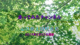 走ってみたチャンネル　山口県上関町長島