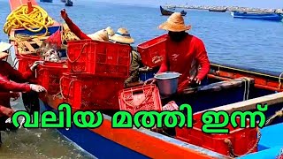 ഇന്ന് പരപ്പനങ്ങാടിയിൽ വലിയ മത്തി പിടിച്ചു | Fishing at Parappanangadi | Ali Parappanangadi