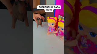 Cuidado o boi da cara preta