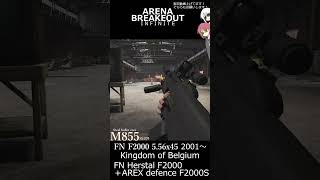 Modification of F2000 in Arena Breakout