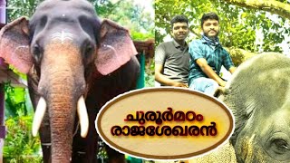 Kerala Elephant ||   ചുരൂർമഠം രാജശേഖരൻ ||Churoor madam Raajashekaran 🐘🐘