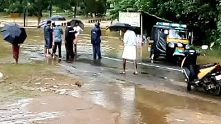 Vandazhy River - Flood 2019