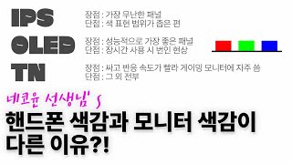 핸드폰 색감과 모니터 색감이 다른 이유 | 네코윤 선생님 | 모니터 색감 확인하기~!