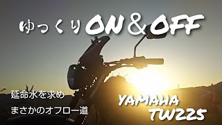 ゆっくりON＆OFF ダウンマフラーとONタイヤを装着したTW225で林道を走ってみた