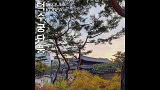 지금이 단풍 절정 - 덕수궁 [4k]