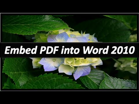 Embed PDF in Word - Microsoft Word Embed PDF in Word - Microsoft Word