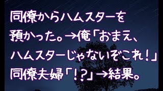 【修羅場】同僚からハムスターを預かった。→俺「おまえ、ハムスターじゃないぞこれ！」同僚夫婦「！？」→結果。