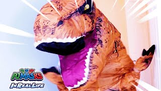 Dinosaur Attack | PJ Masks in Real Life | Superhero | Full Episodes