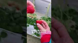 吉祥寺でイチゴ狩り🍓💕