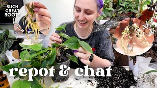 pot up props with me 🌿  answering your propagation questions