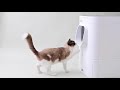 自動猫トイレ lavvie bot s ラビィボット s