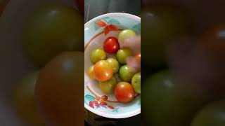 KAMATIS IN ENGLISH TOMATO