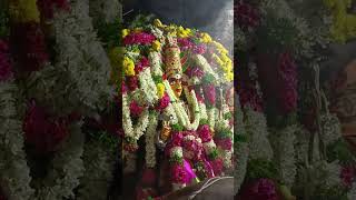 pattatharasi #amman #temple #festival #kottampatti  #village #madurai #short #video