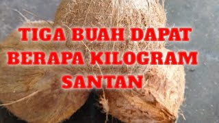 🔴 Usaha Santan Kelapa - 3 buah Dapat berapa Kilogram Santan⁉️