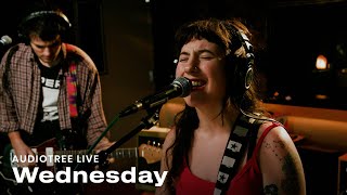 Wednesday - Fate Is... | Audiotree Live