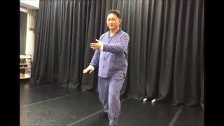 양식태극권 시범 Yang Style Tai Chi / 태극권 배우기