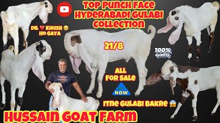 Aise Gulabi Bakre Nahi Dekhe Honge😍For Sale Home Breed Ke Top Hyderabadi Breedline Goats Collection