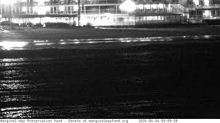 Marginal Way Ogunquit Maine Live View