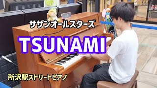 【所沢ストリートピアノ】TSUNAMI/サザンオールスターズ