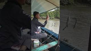 Streak afriandi, trip mancing udang galah,,  d sungai dua palembang bersama joki angler Roy shugarra