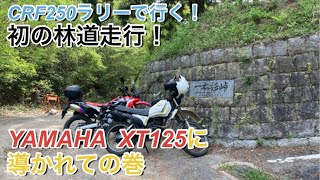 CRF250ラリーで行く！ 初の林道走行！ YAMAHA  XT125に 導かれての巻