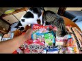 【フカセンvlog269】1日家を空けて帰った後の猫の反応／マオランの贈り物を公開！／最後に告知あり！／実家の古民家で保護猫マオランと一人田舎暮らし。