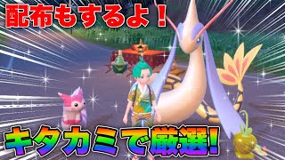 【ポケモンSV】新ポケの色違い厳選しまくる！