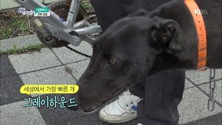 6시 내고향 - [시골버스] 전북 임실.20170410