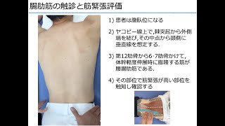 腸肋筋の触診と筋緊張評価