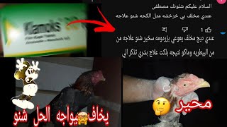 افضل طريقه تخلي الهراتي المخلف يواجه🐓 +هو شنو معنى محير🤔🤯