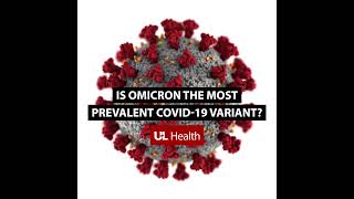 Q\u0026A: Is Omicron the most prevalent COVID-19 variant?