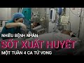 Số ca sốt xuất huyết gia tăng, một tuần 4 ca tử vong | VTC Now