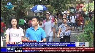 24 Ribu Orang Kunjungi Kebun Binatang Ragunan