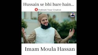 Imam Moula Hasan - New Kalam 2022 | Hafiz Tahir Qadri | #viralshorts #miladunnabistatus
