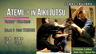 Striking from Grabs? Atemi in Aikijutsu ( Daito Ryu Renshinkan, Tehodoki) 練心館大東流 合気術 の 当身 / 手解き