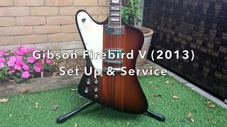 Gibson Firebird V 2013 Set Up & Service (with Sound Clips)