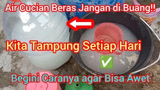 Cara Menampung Air Cucian Beras - Agar Tahan Berbulan-bulan