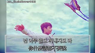 繁中韓歌詞 BTS 방탄소년단 Butterfly