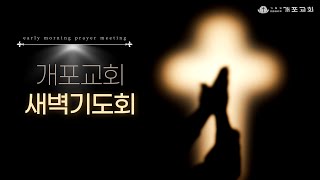 [개포교회 새벽기도회] 2025.01.17 (금) | 내 뜻이 아닌 하나님의 뜻 | 요한복음 5:30-38 | 정성훈 목사