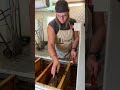 honey extraction