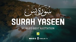 Amazing and Heart touching beautiful voice | Surah Yasin (Yaseen) سورة يس | Zikrullah TV