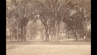 Exeter History Minute - Elm Trees