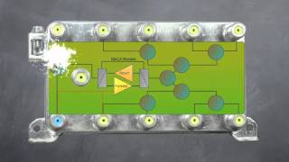 MoCA Series - Part 2 - MoCA Actives - Extreme Broadband