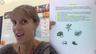 Interdependence lesson