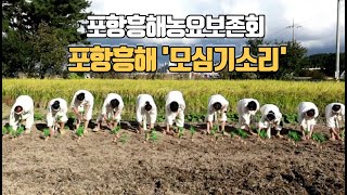 🎵포항흥해 모심기소리, The rice-planting song🍀Korean Traditional folk Song, Korean Traditional Farm Song📌얼쑤코리아