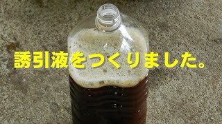 日本ミツバチの蜜蝋づくりの副産物、誘引液を作りました。