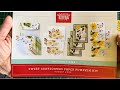 An Unboxing Video of the AUGUST Paper Pumpkin Kit, Sweet Sunflowers