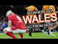 So where do Wales go from here? | Autumn Nations Series